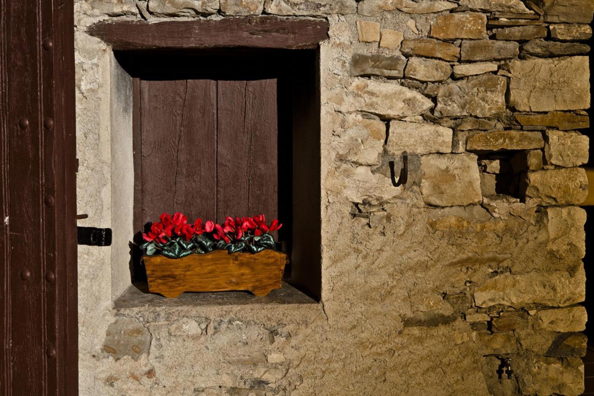 Conjunt Rural Cal Soldat Collmorter المظهر الخارجي الصورة